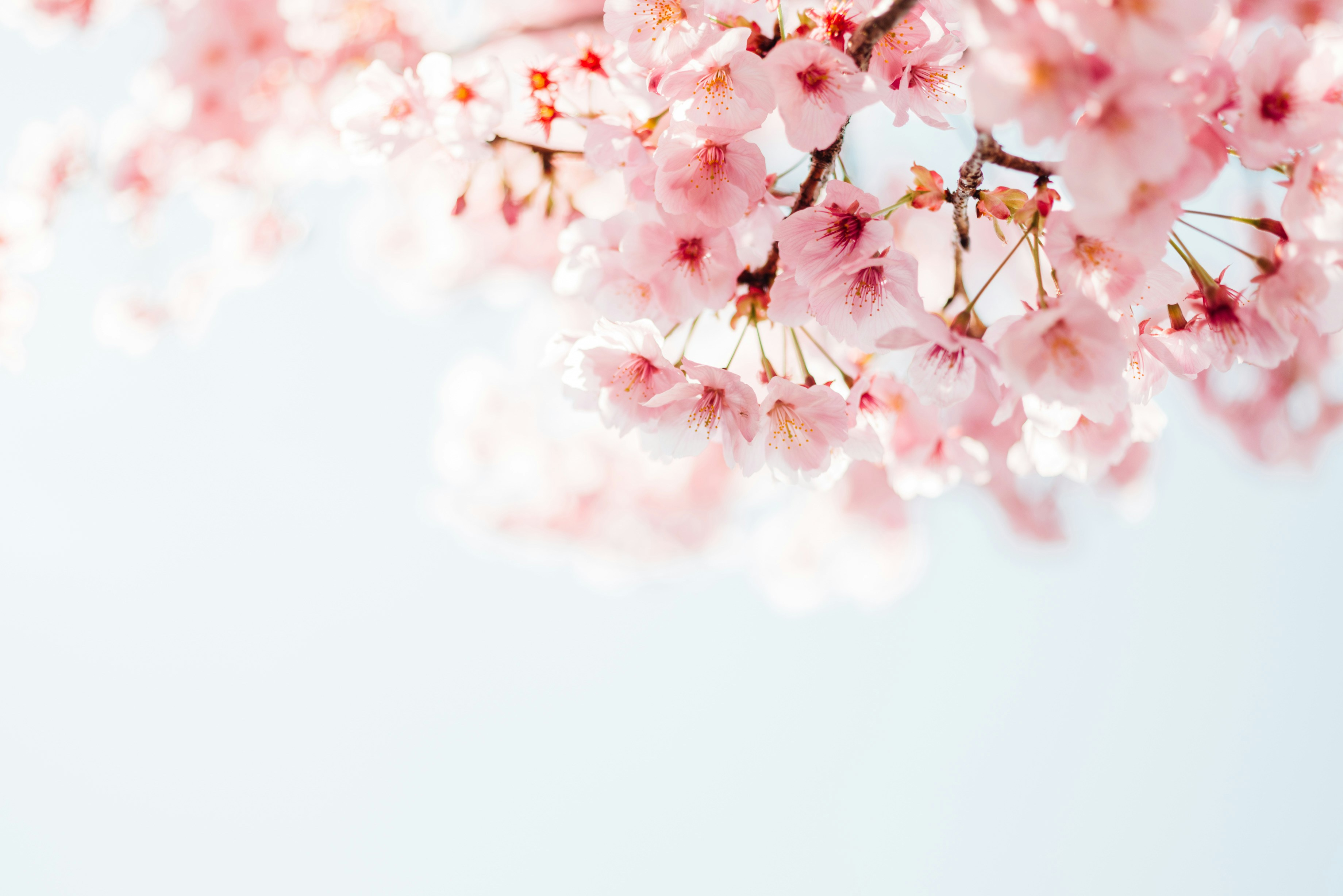 masaaki-komori-iczsntduUyI-unsplash.jpg