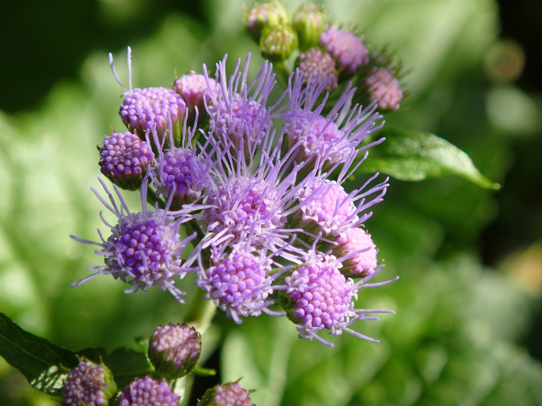 PA100638.JPG