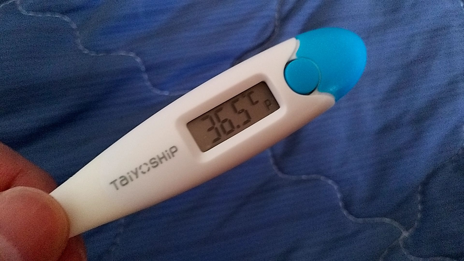 8680.jpg