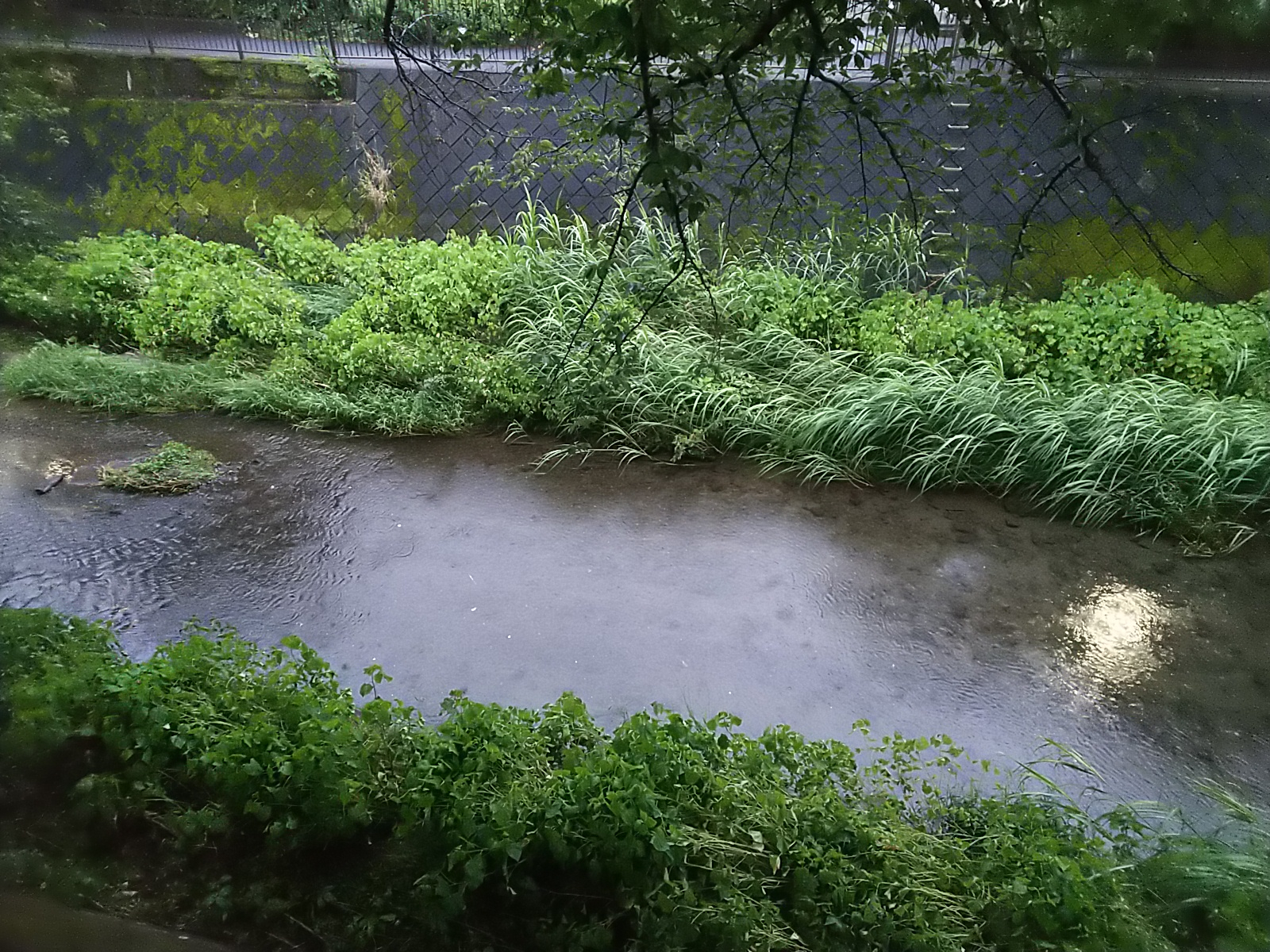三沢川.JPG