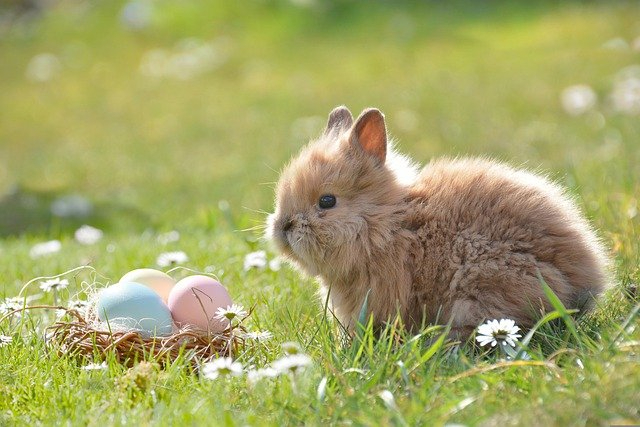 easter-2197043_640.jpg
