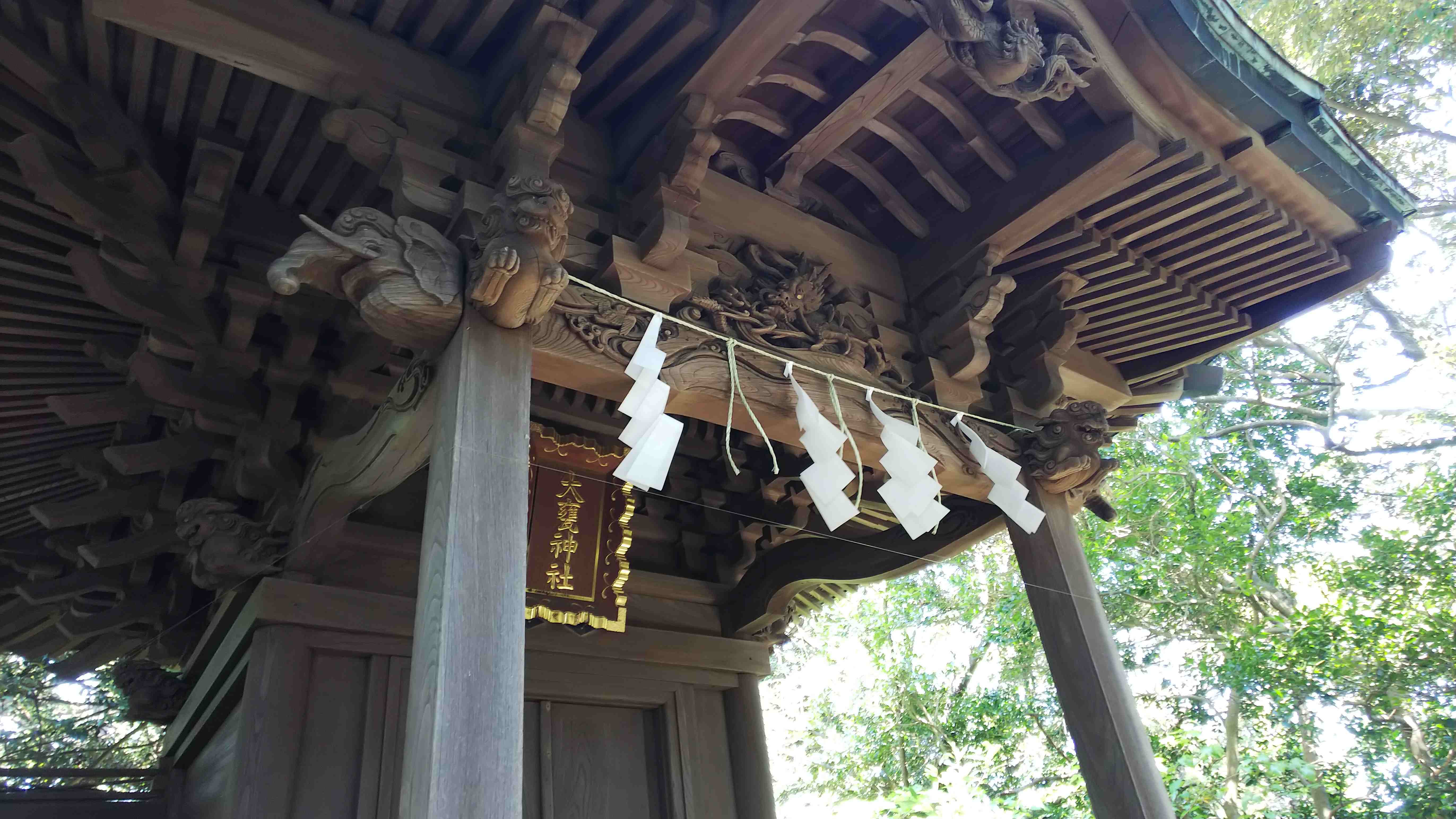 DSC_3221.JPG