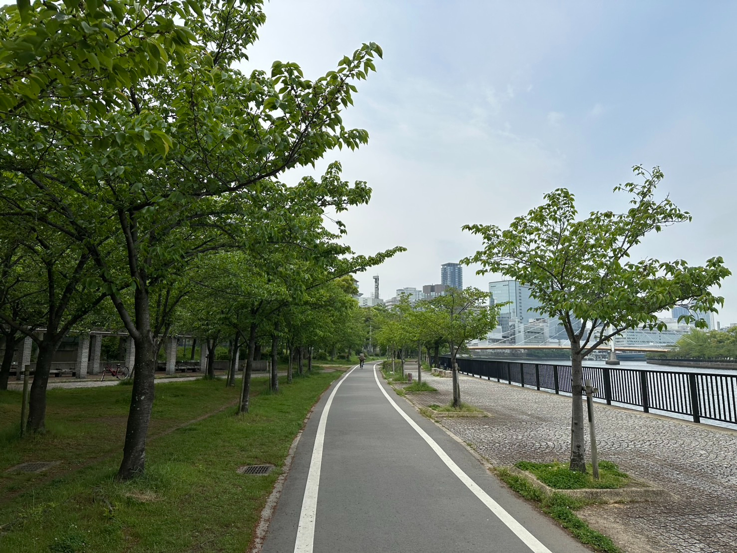 S__59908124.jpg