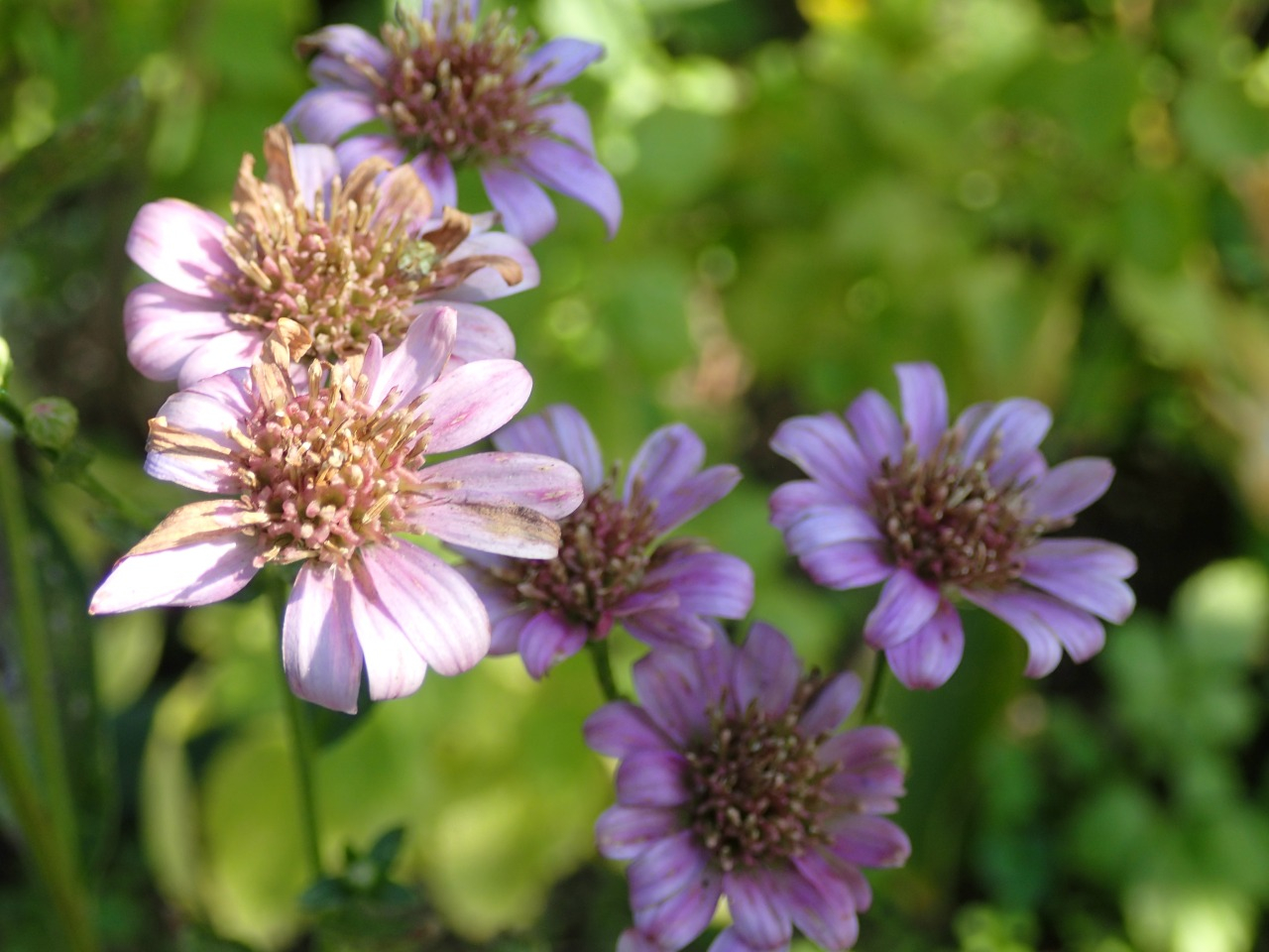 PB160659.JPG