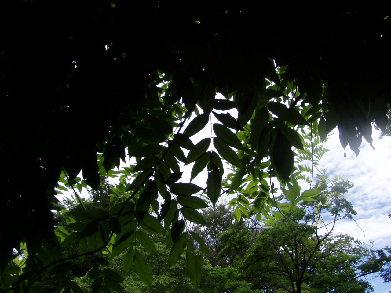 P1010101.JPG