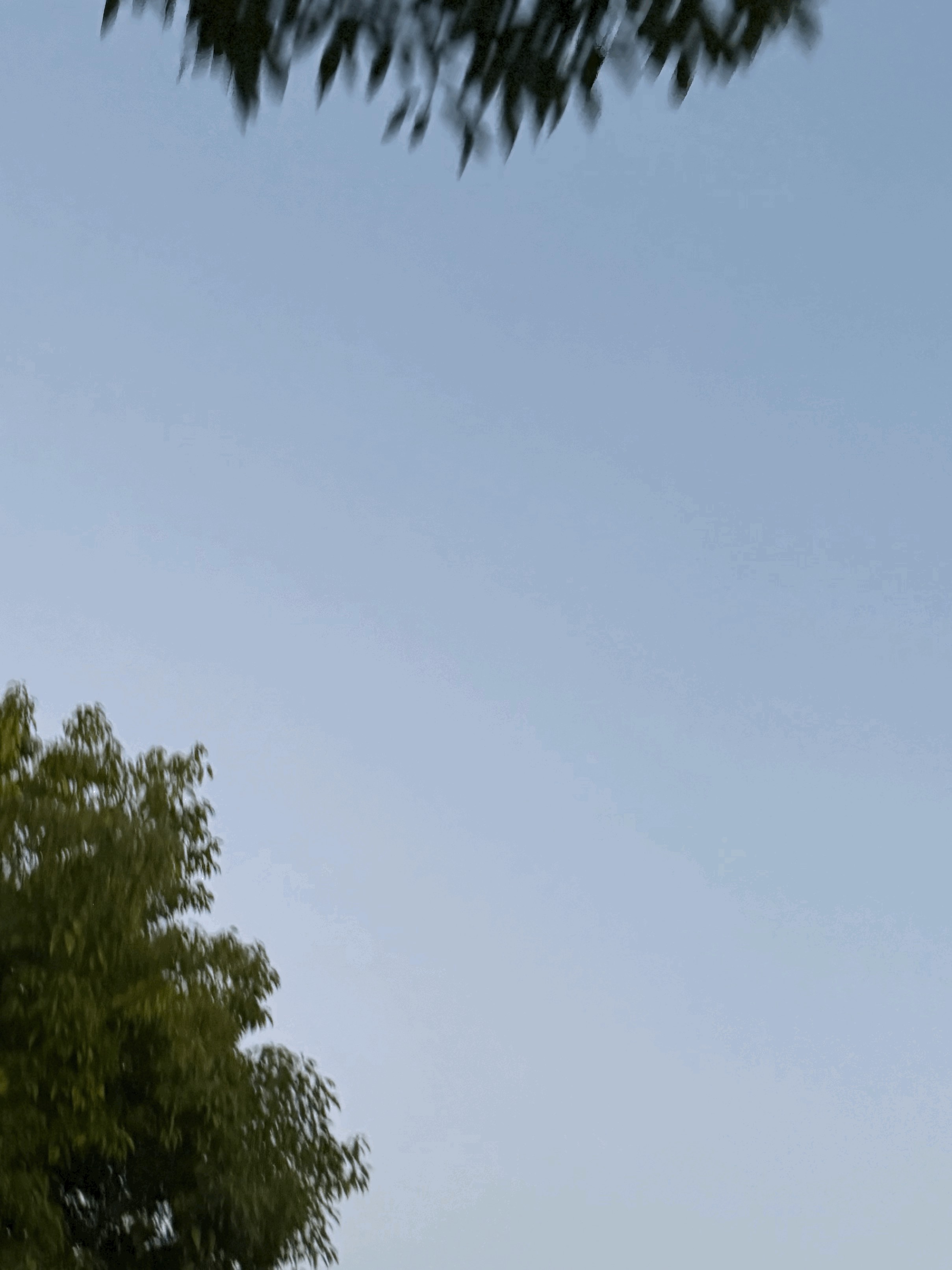tempImageBdlH97.gif