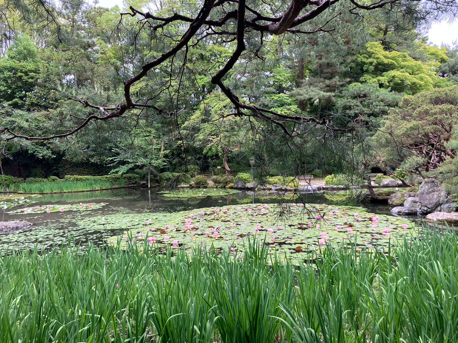 S__89604131.jpg