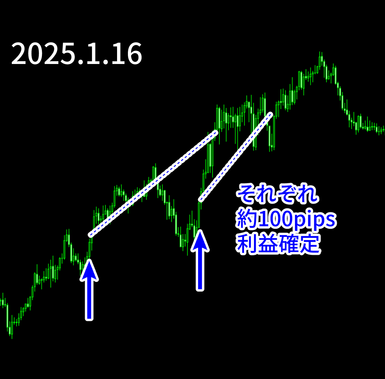 エントリー例_250116.png