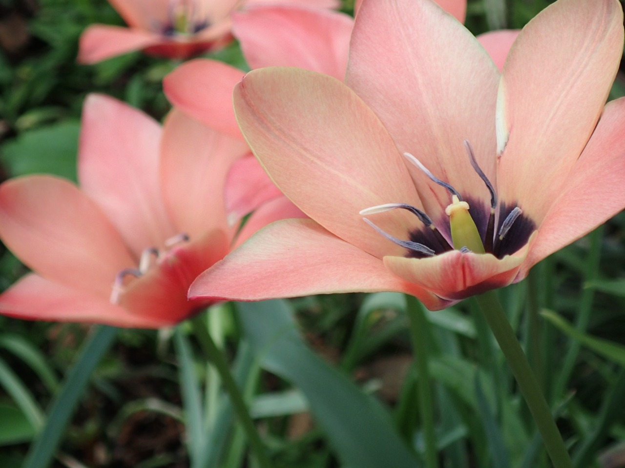 P4050484.JPG