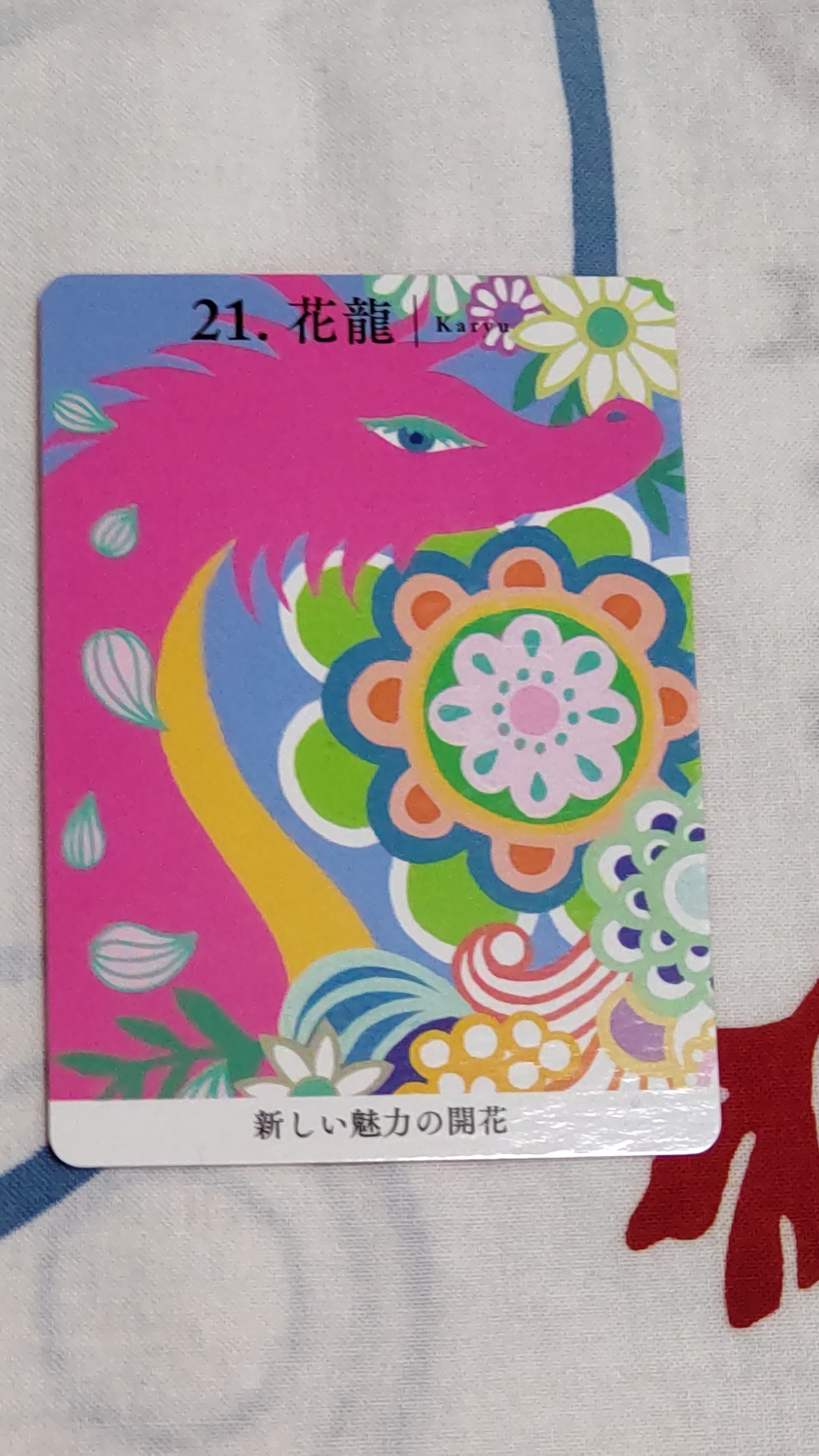 080804-1.jpg