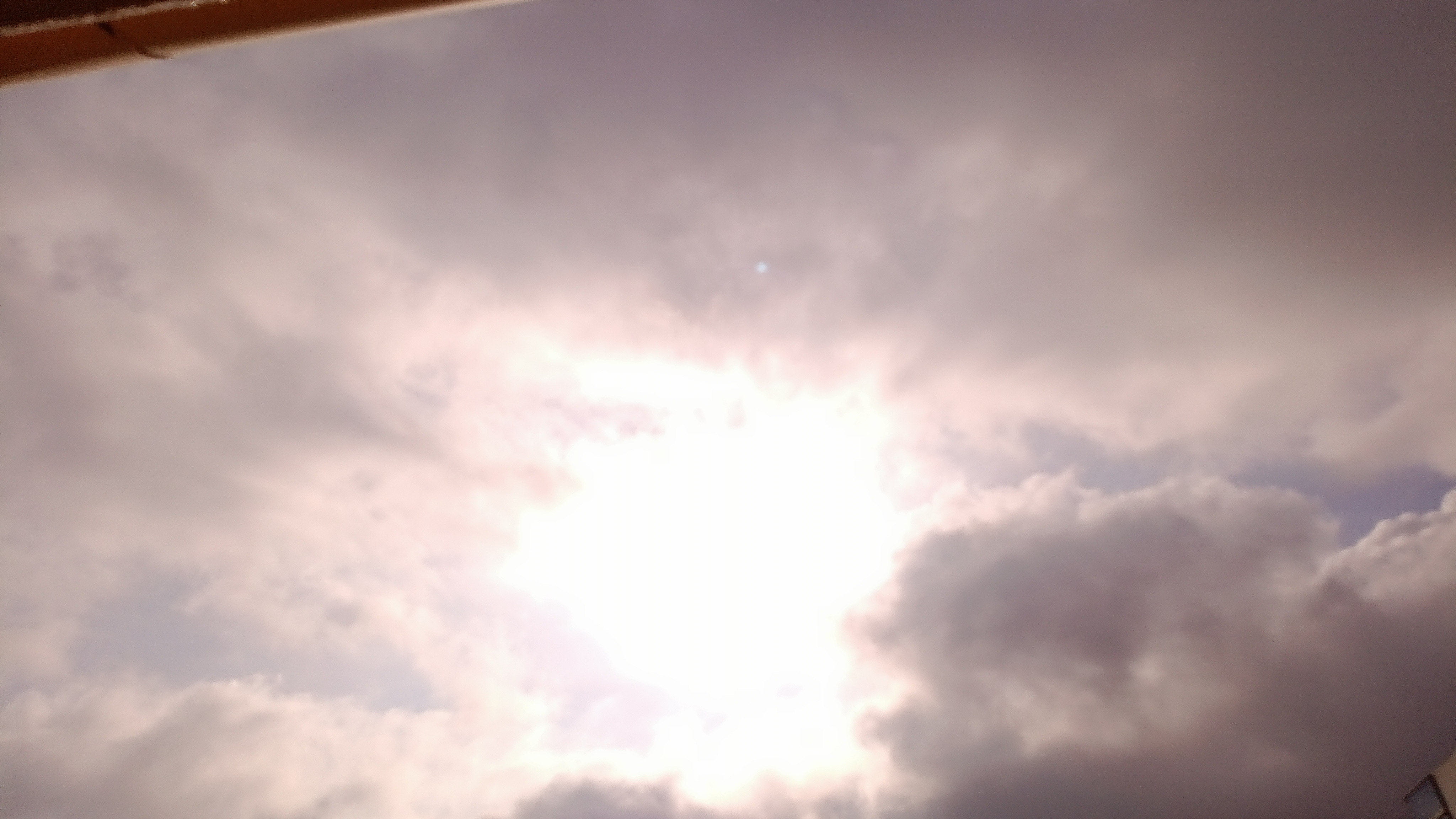 IMG_20240821_073710_541.jpg