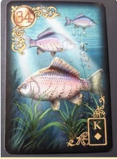 fish.jpg