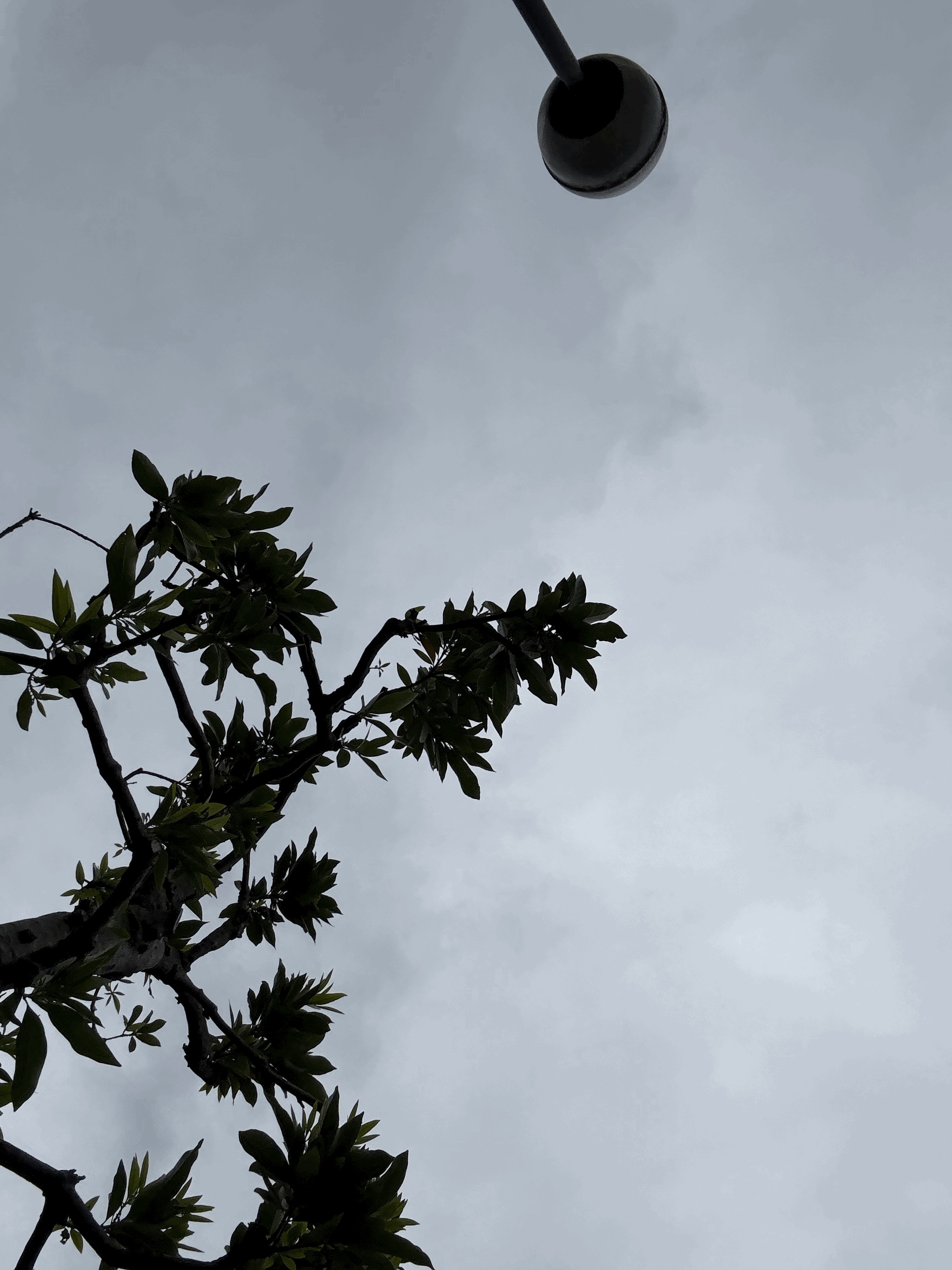 tempImagektdFgD.gif