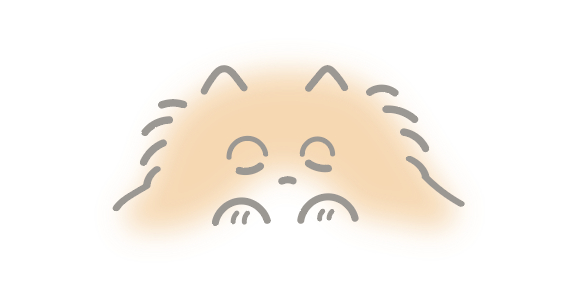 スクリーンショット 2024-07-05 15.26.26.png