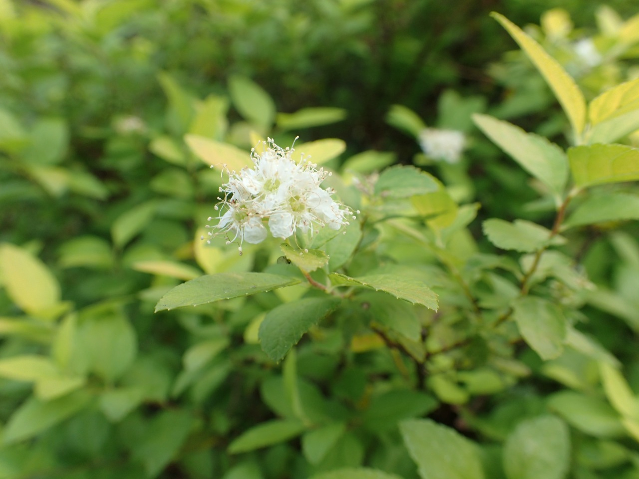 PB080113.JPG