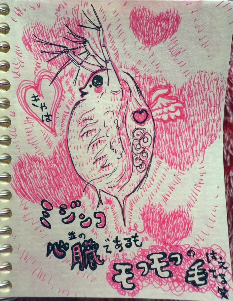 IMG_8081.jpeg