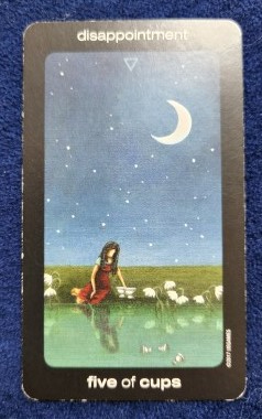 20230610_110928 (002).jpg