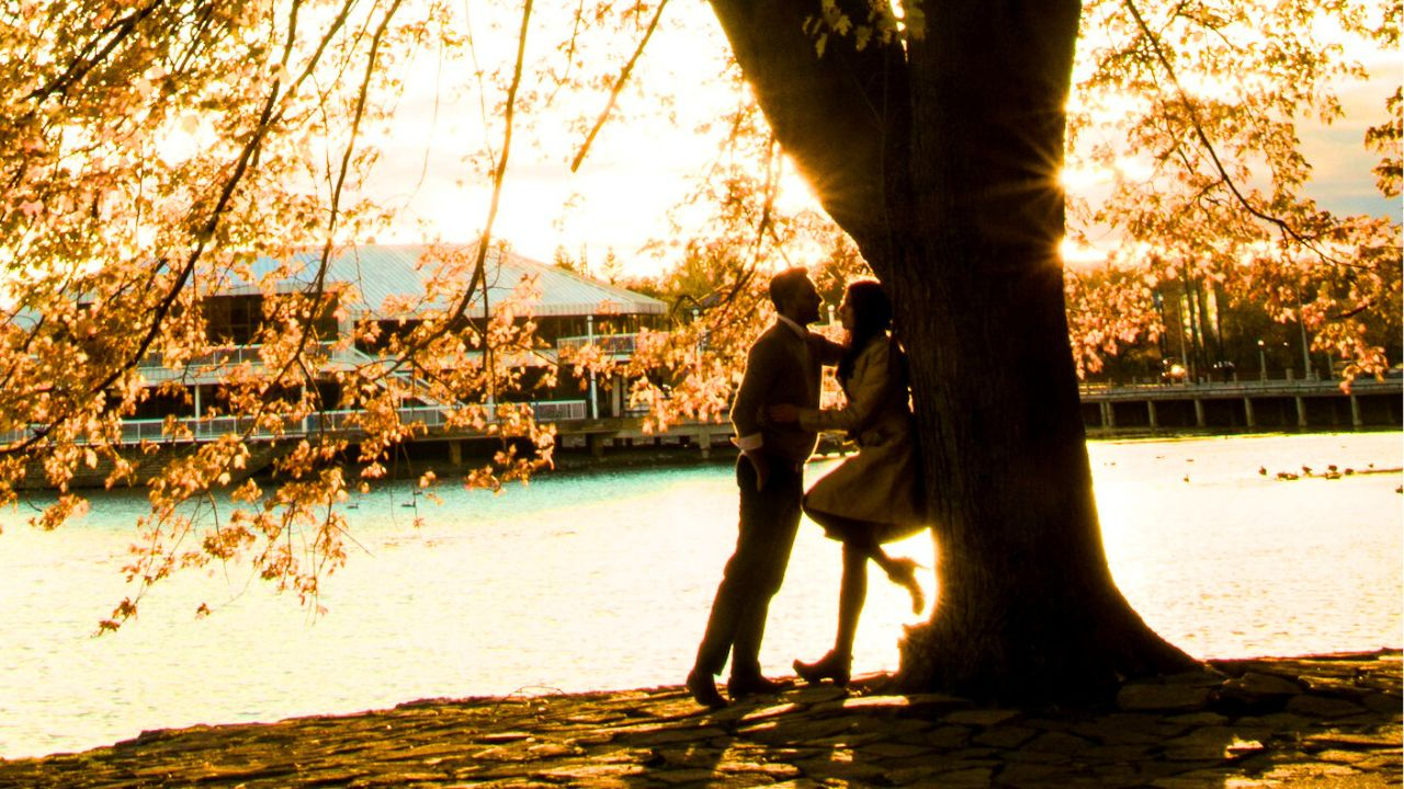 初心者Webライター 収入を倍増させる専門分野の作り方 5ステップ (1).jpg