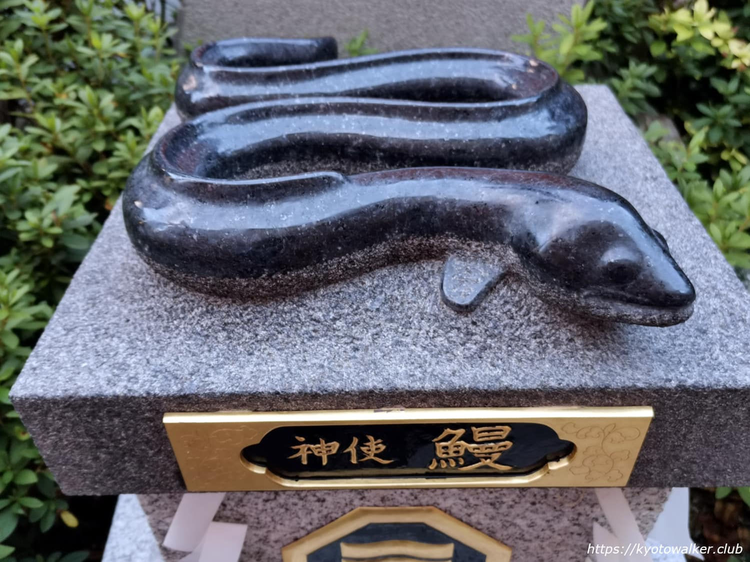 三嶋神社ウナギ.jpg