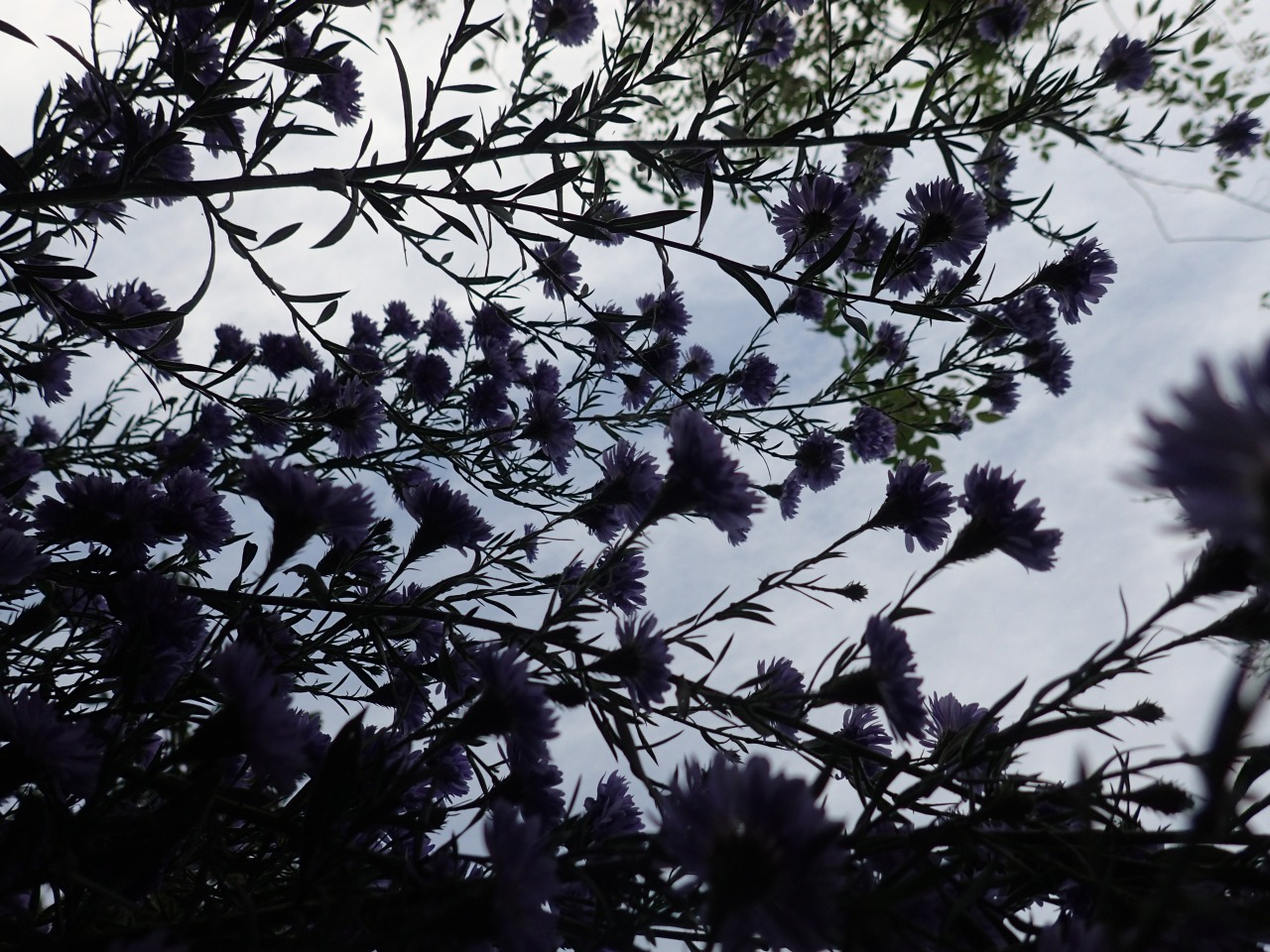 PB080256.JPG