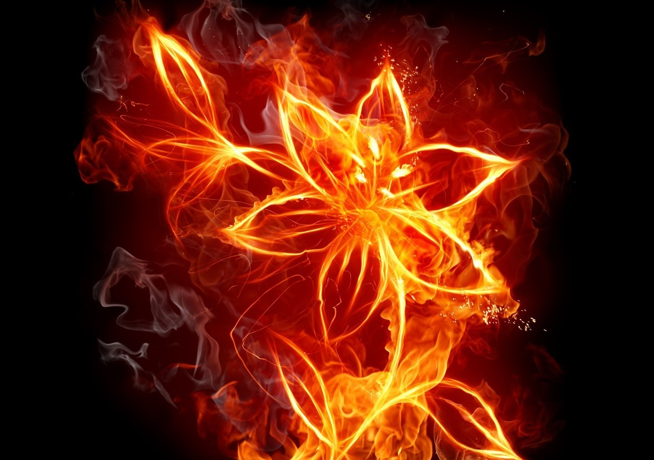 illustration-flowers-fire-sparkler-flame-1280x1024-px-628992-wallhere.com.jpg