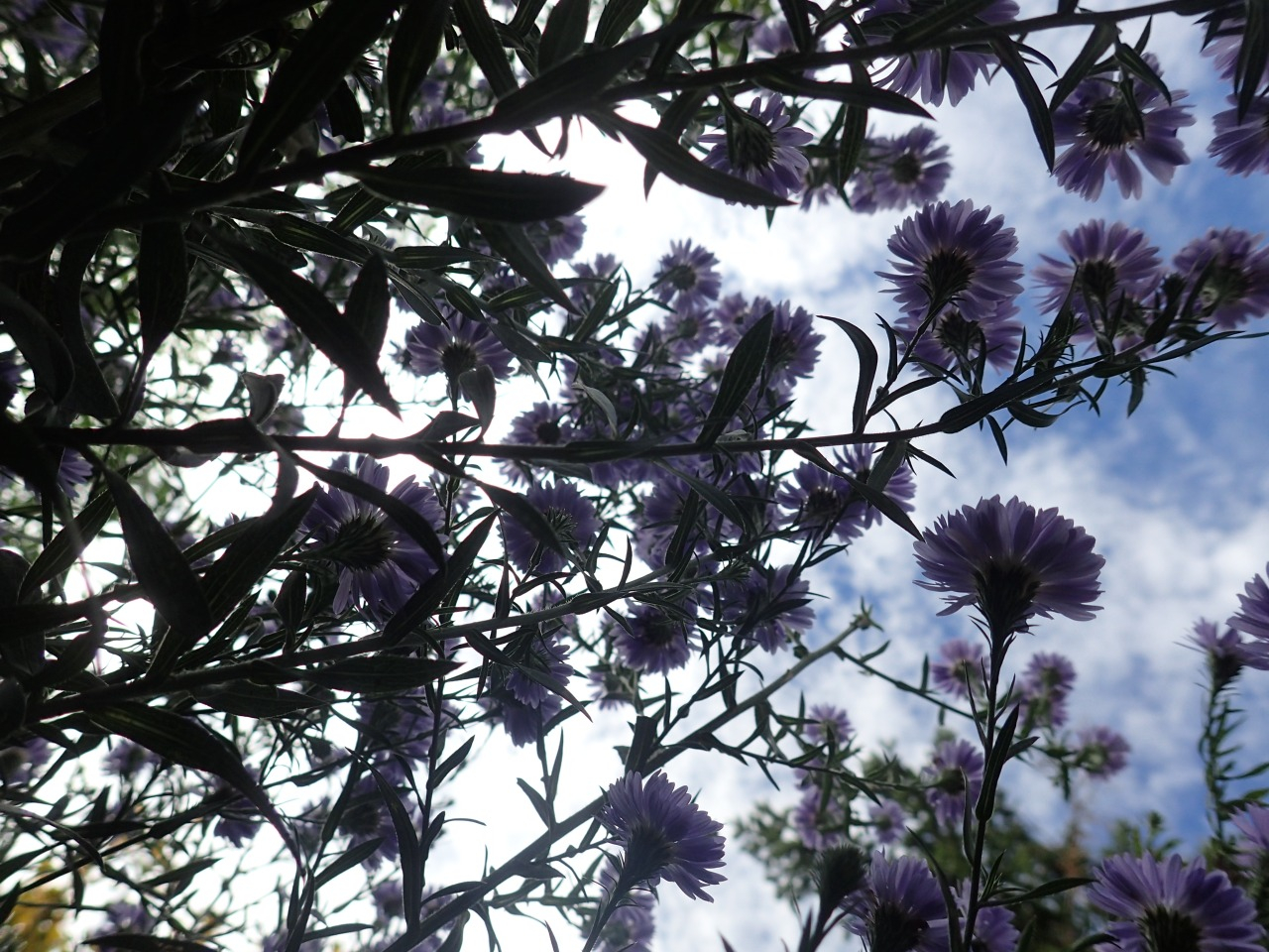 PB010193.JPG