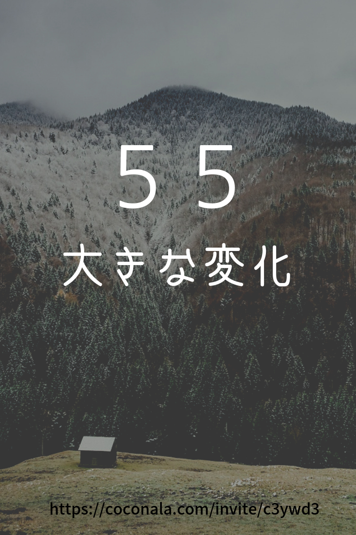 55.png