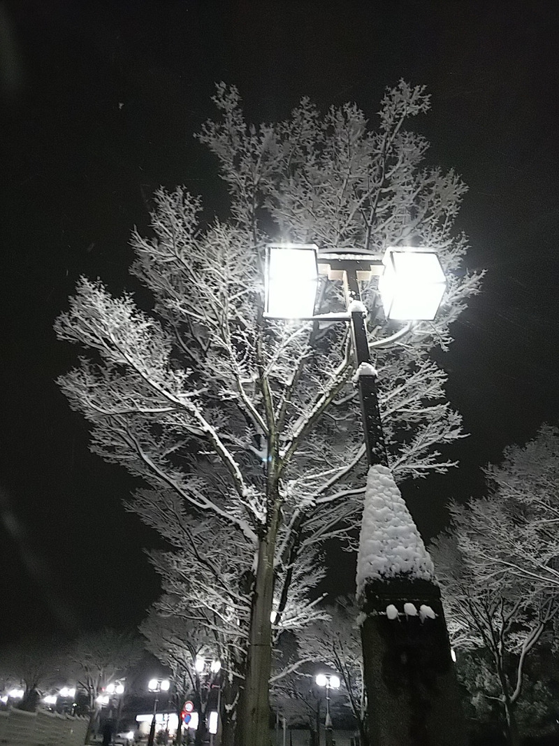 雪4.jpg