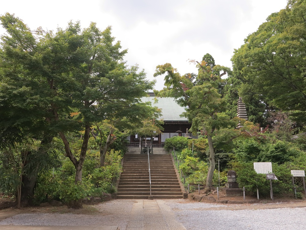 本土寺002.JPG