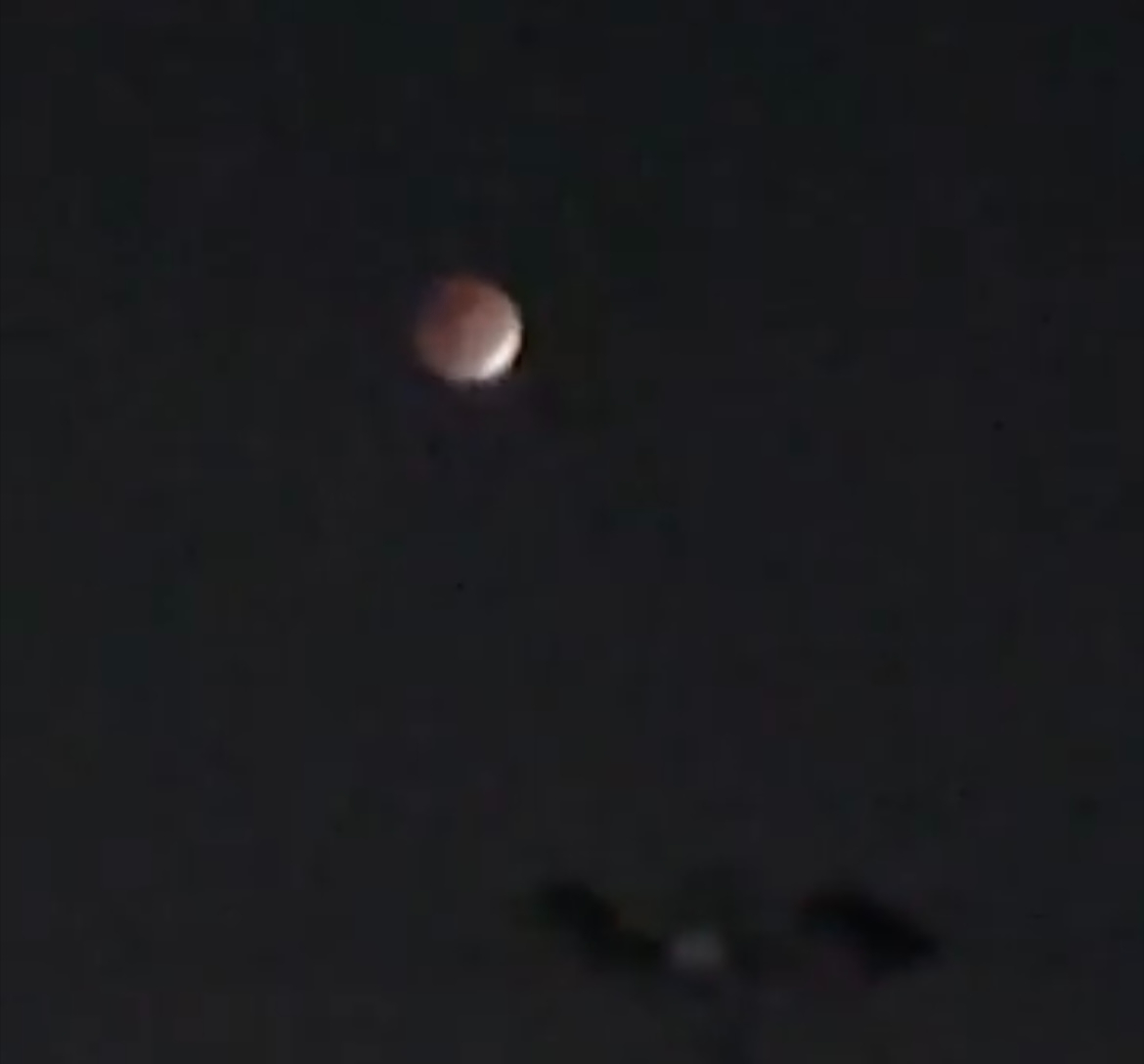 IMG-4915.jpg