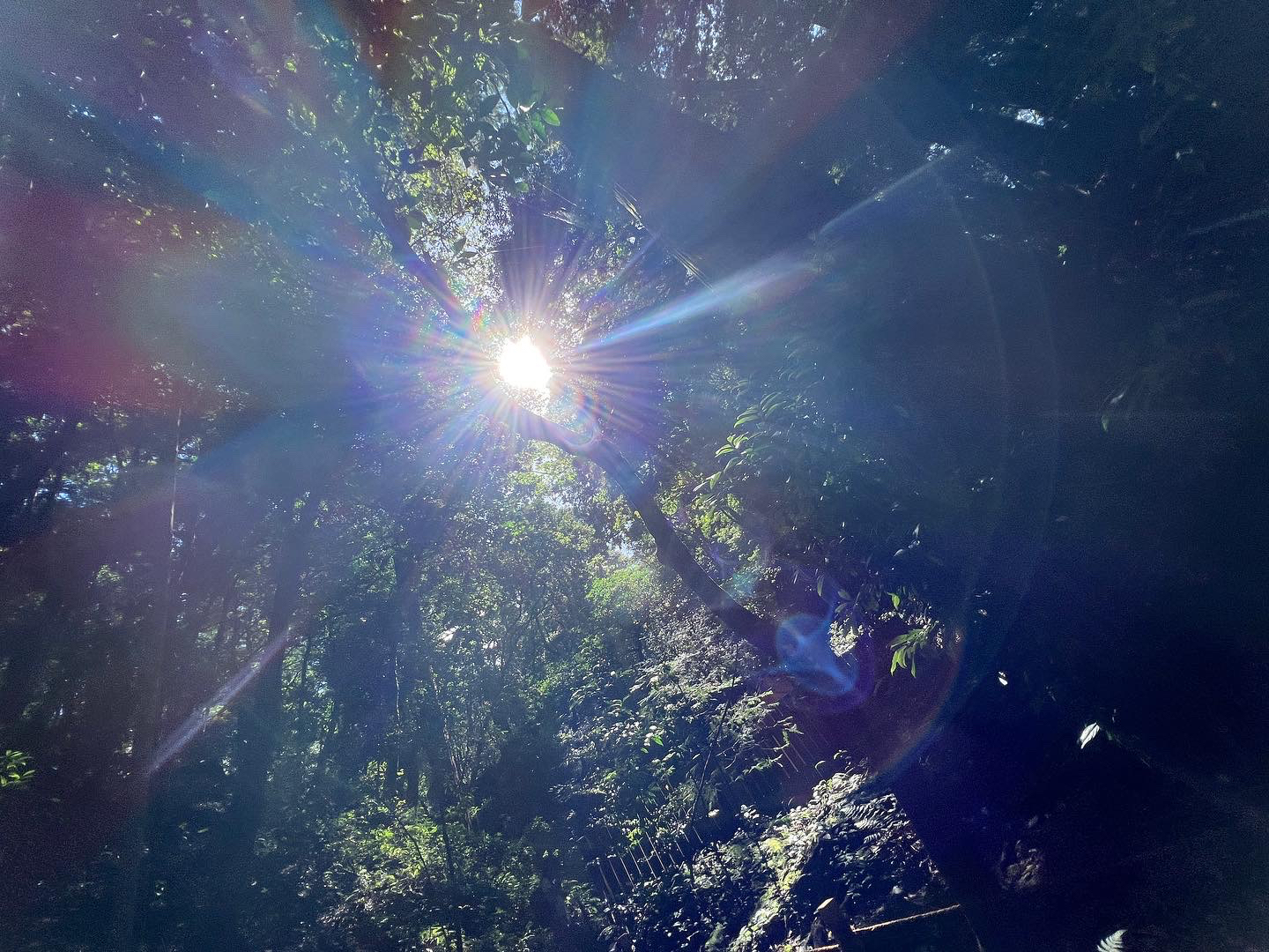31EEAE69-7CF9-4684-8912-3AF040D896C7.jpeg