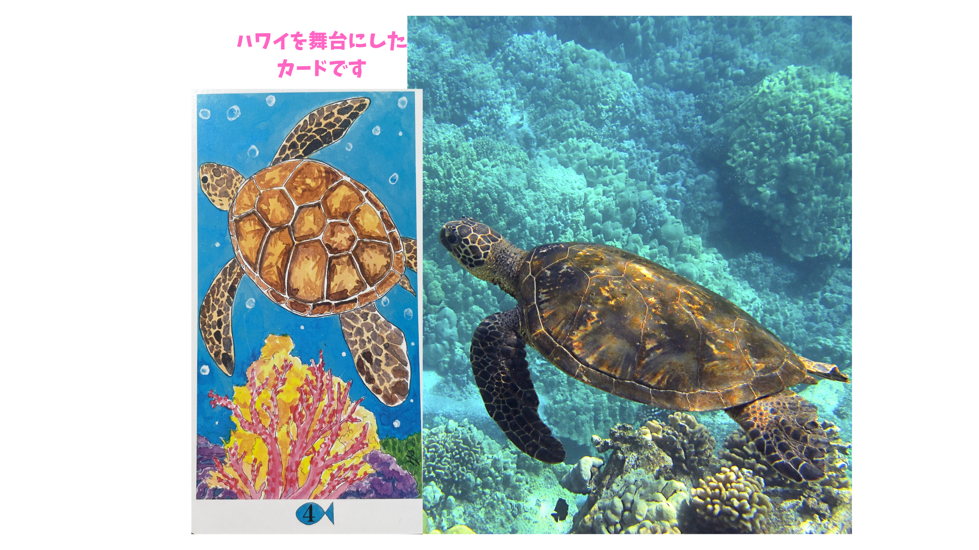 ココナラ画像 (9).png