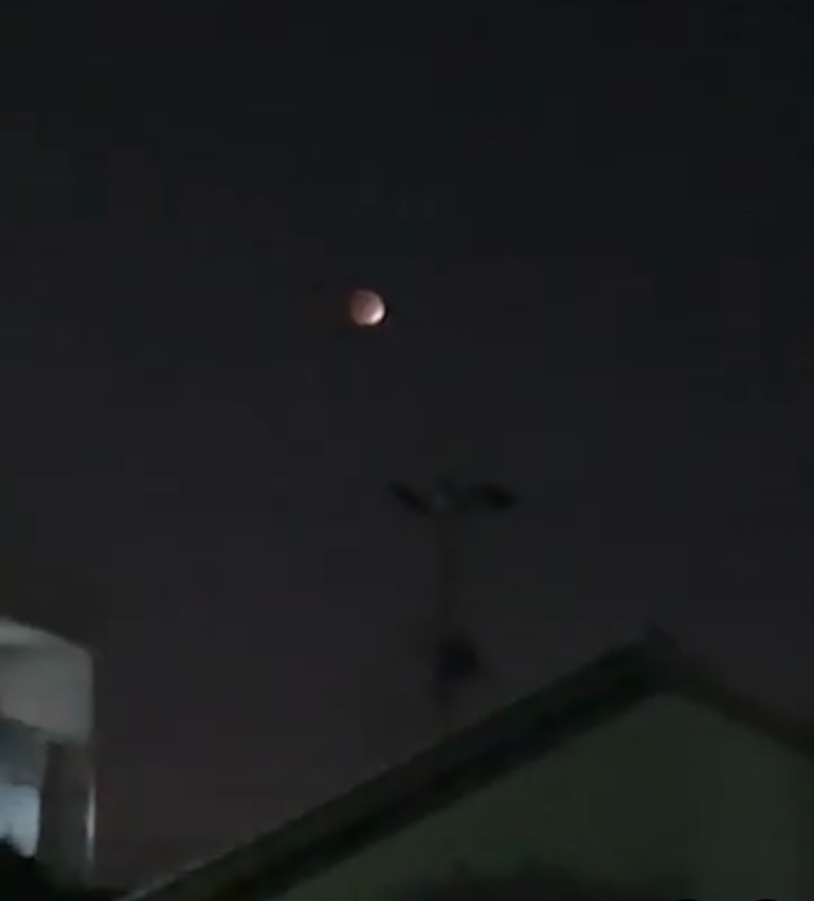 IMG-4912.jpg