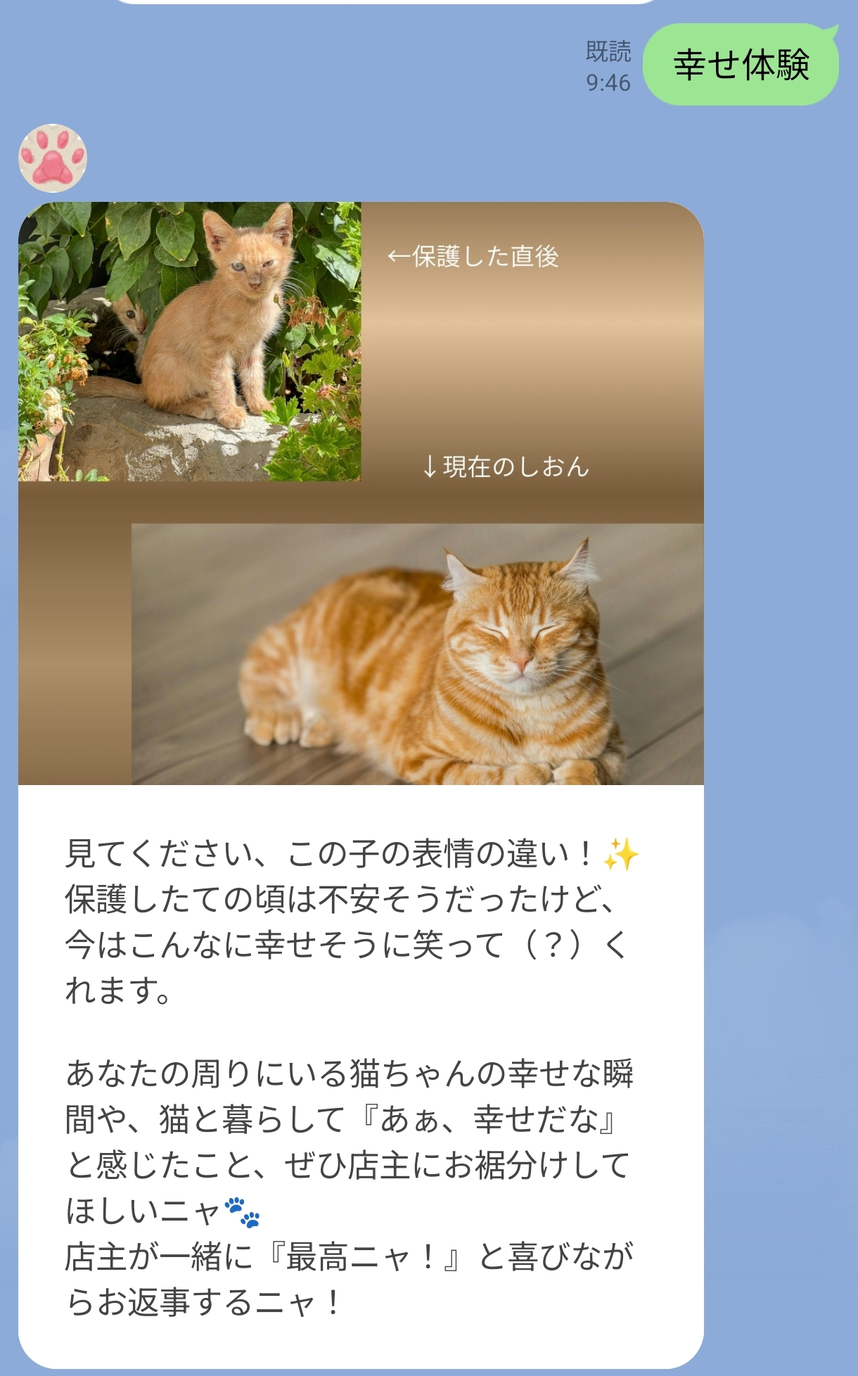 幸せ体験　LINEHarness Ver.jpg