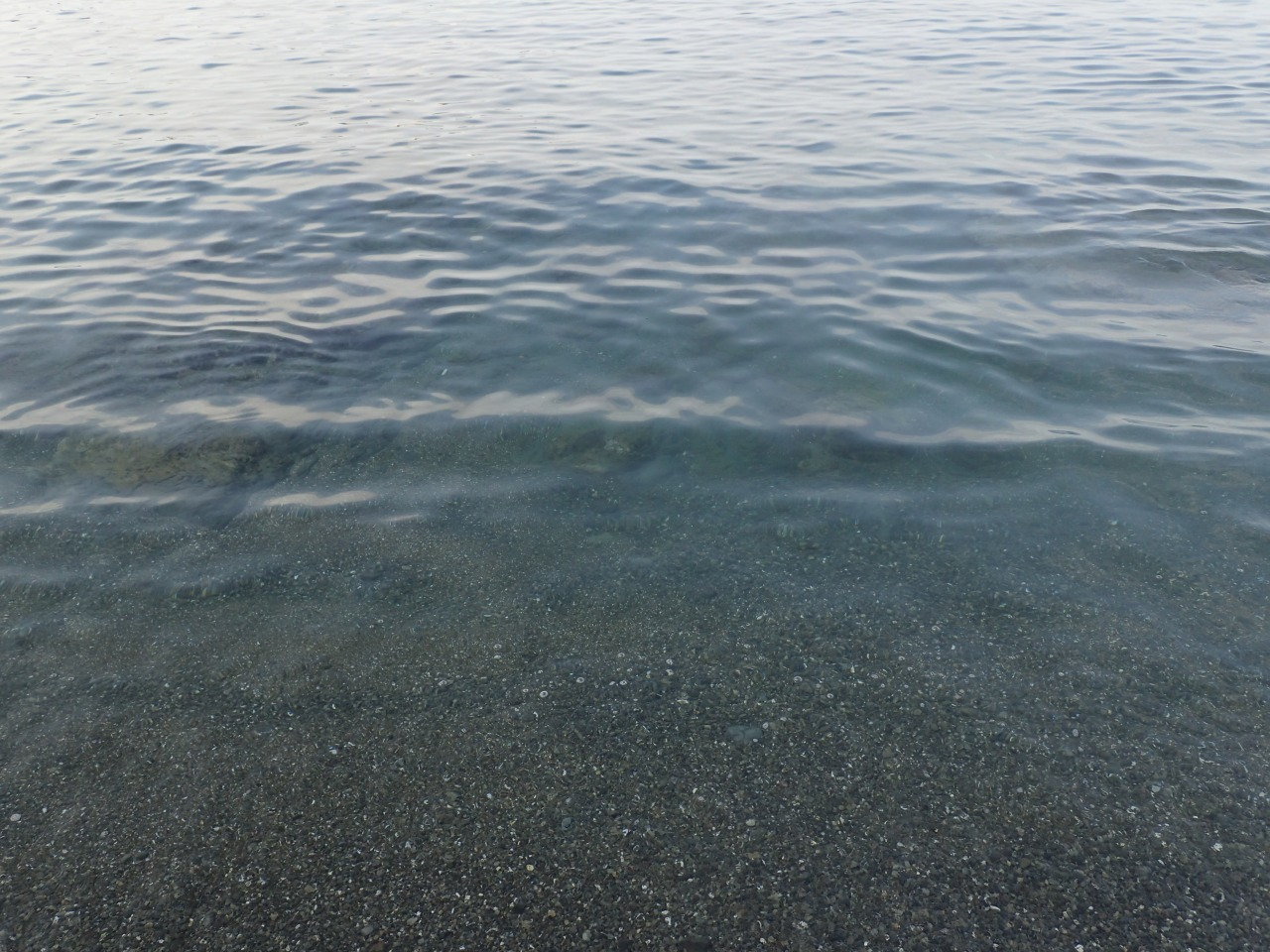 P8110515.JPG