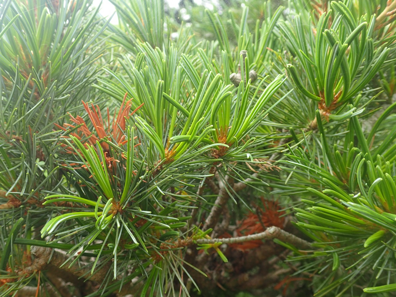 P6100567.JPG