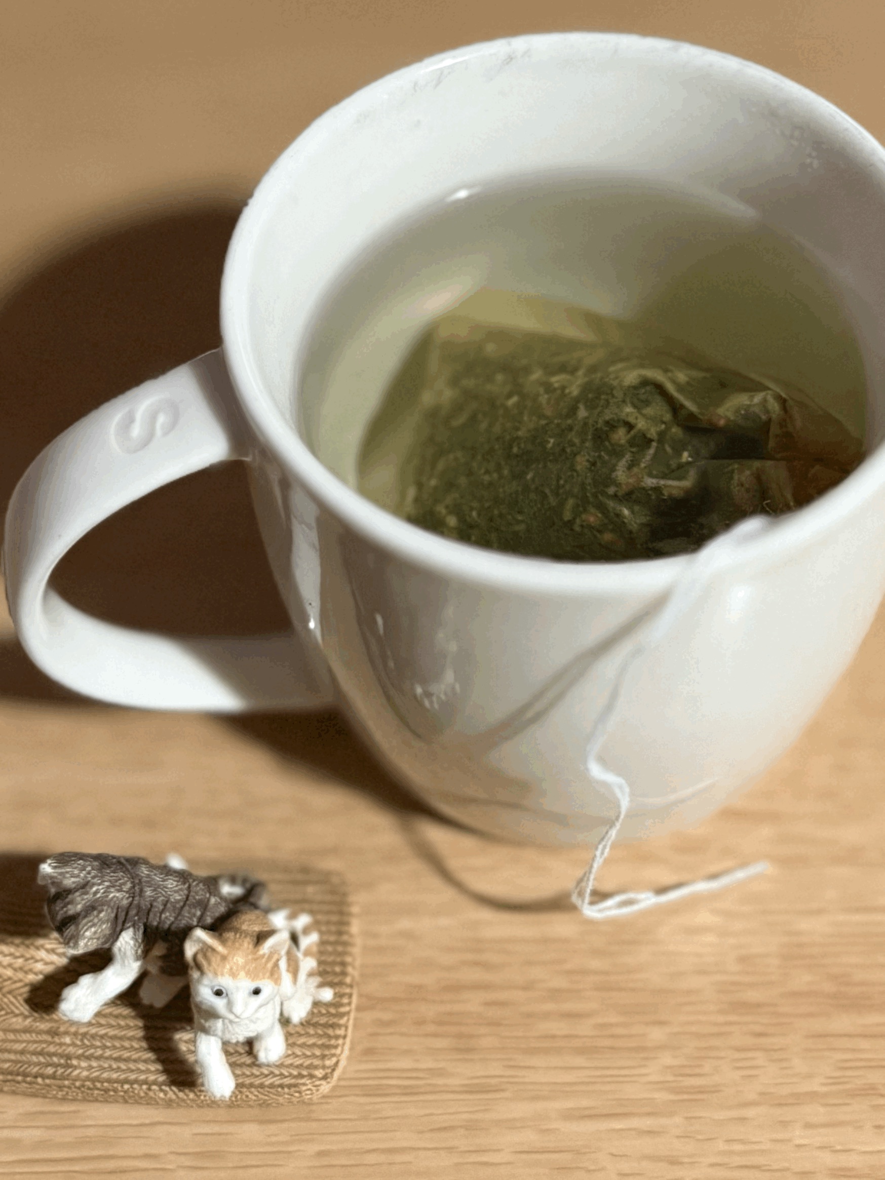 tempImagebLu7Rj.gif
