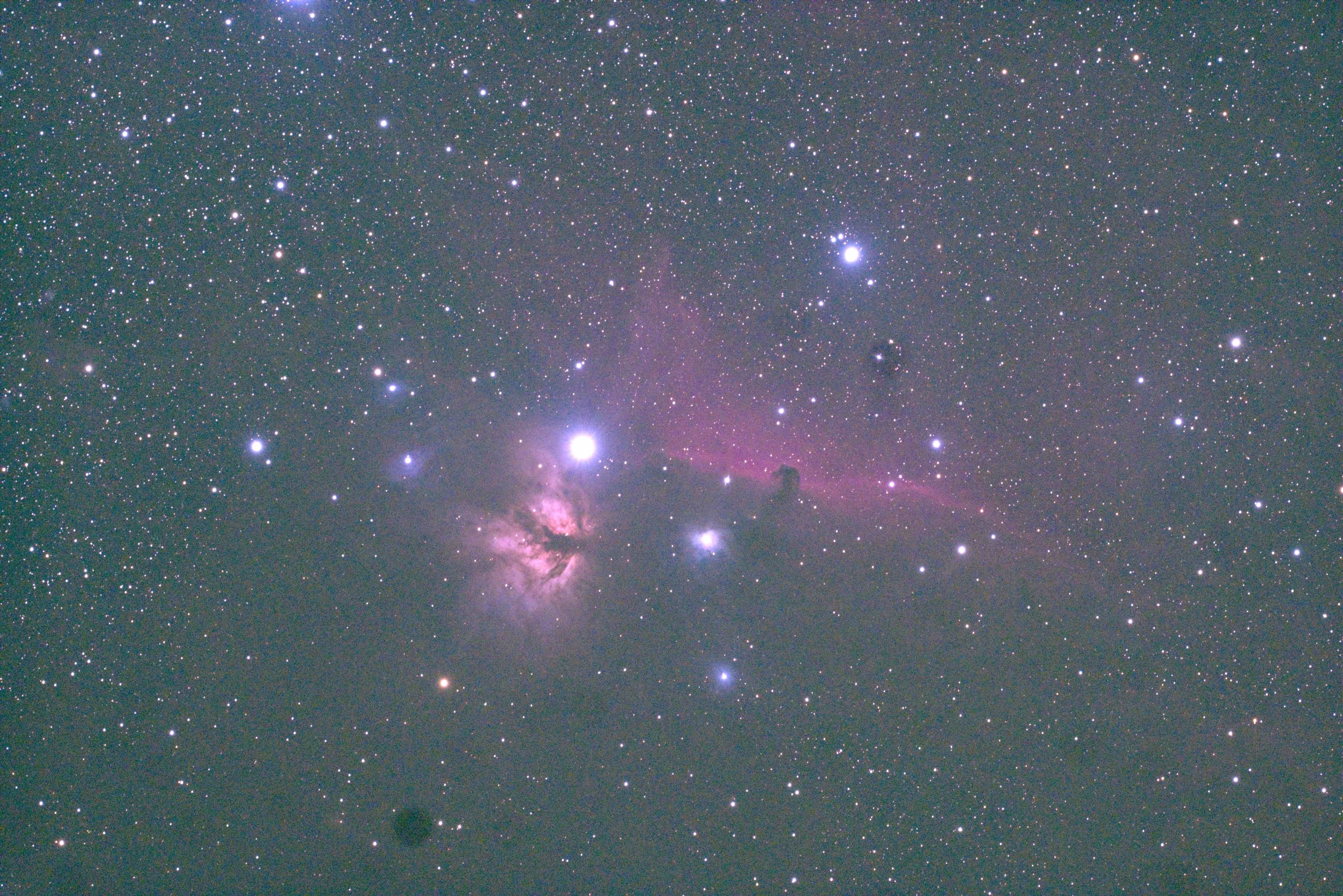 20241104_HORSEHEAD.jpg