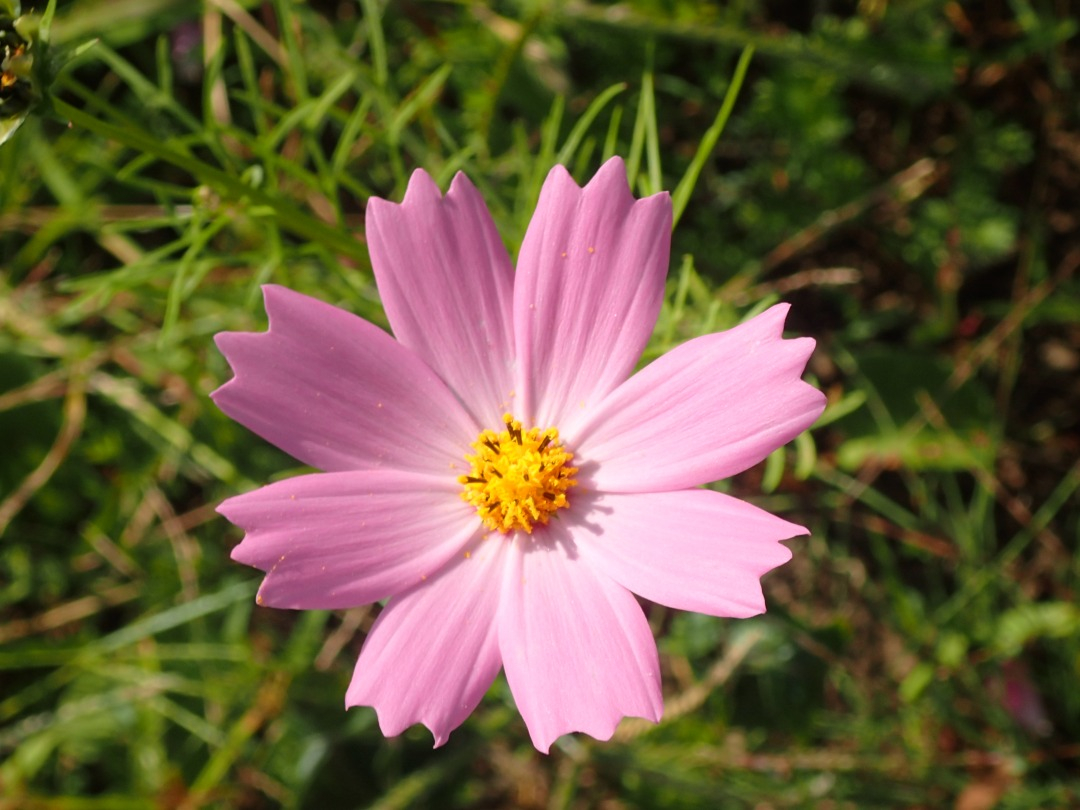PA180013.JPG