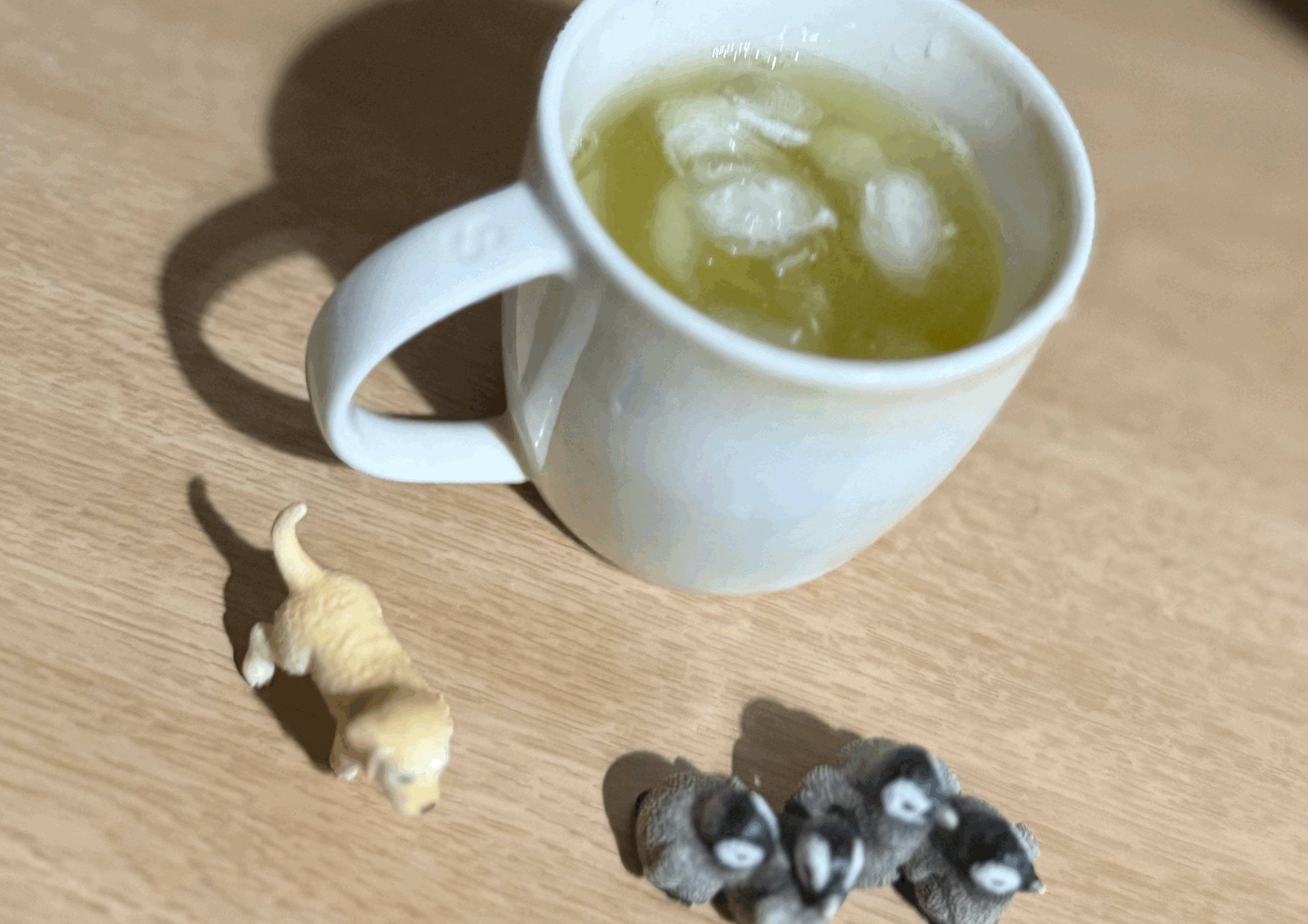 tempImageW4arfW.gif