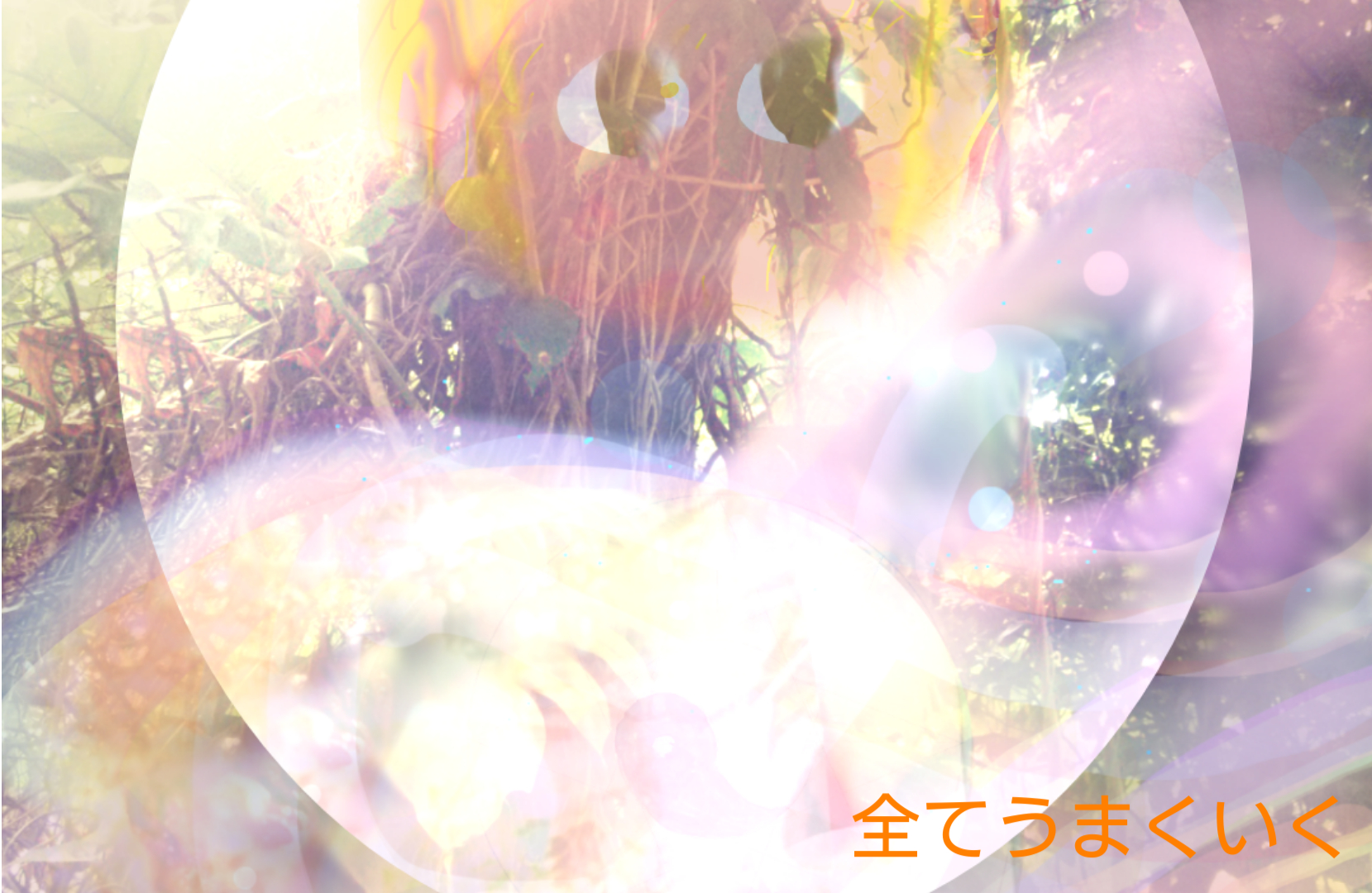 sketch-1767249519251.png