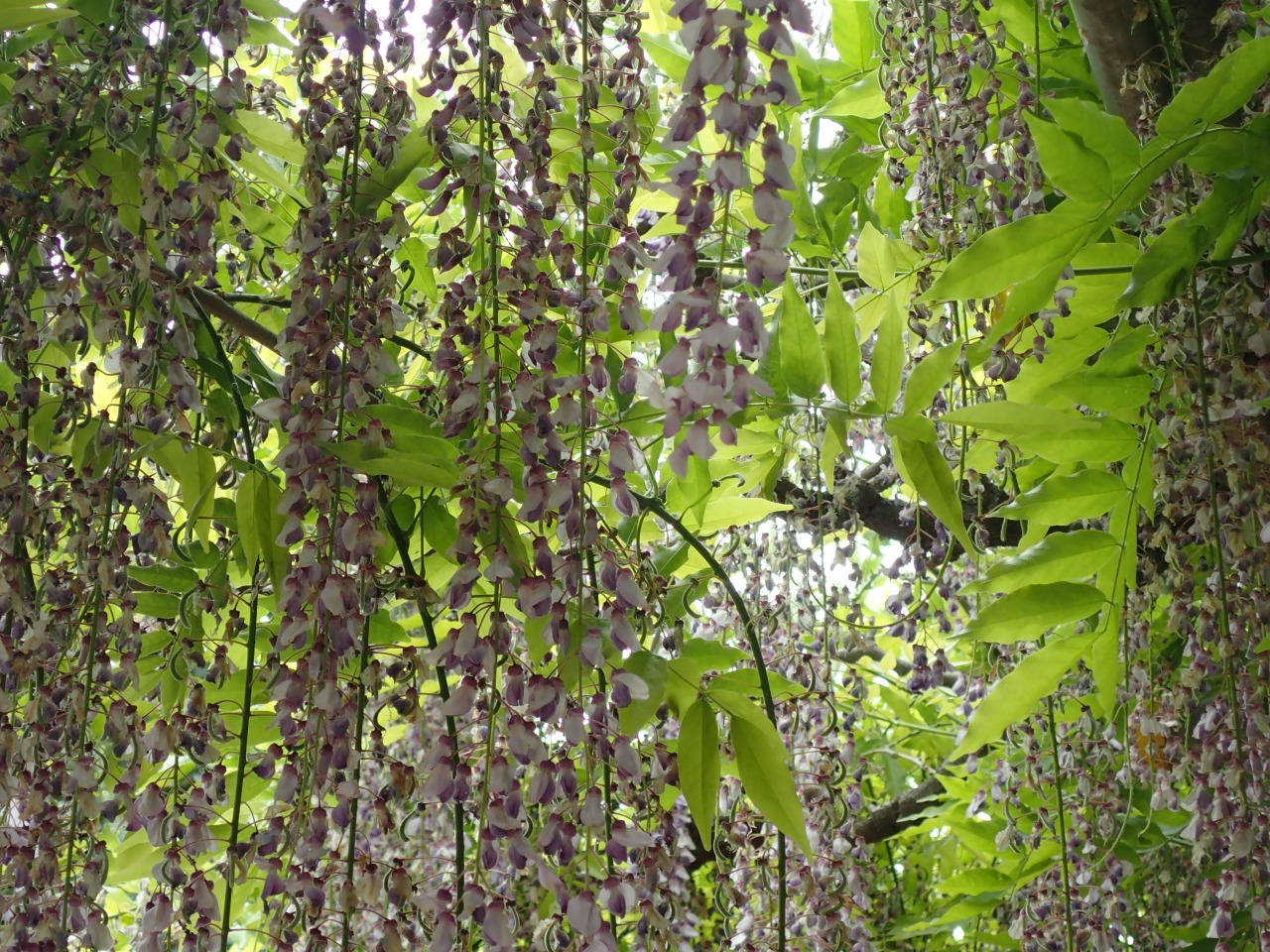 P5040170.JPG