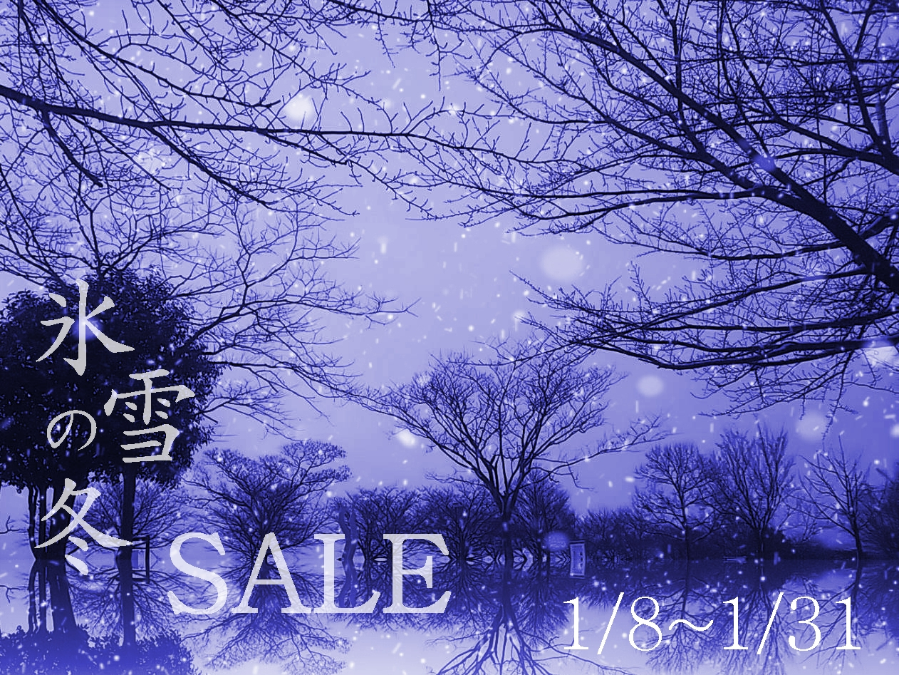 氷雪の冬SALE2.jpg