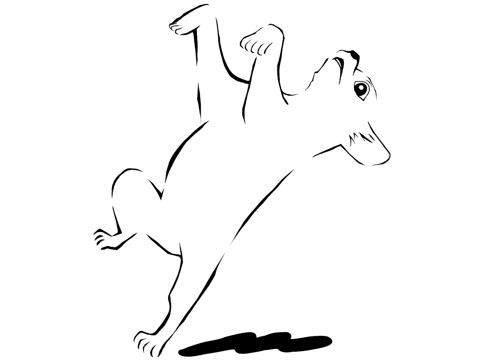 チワワ.jpg
