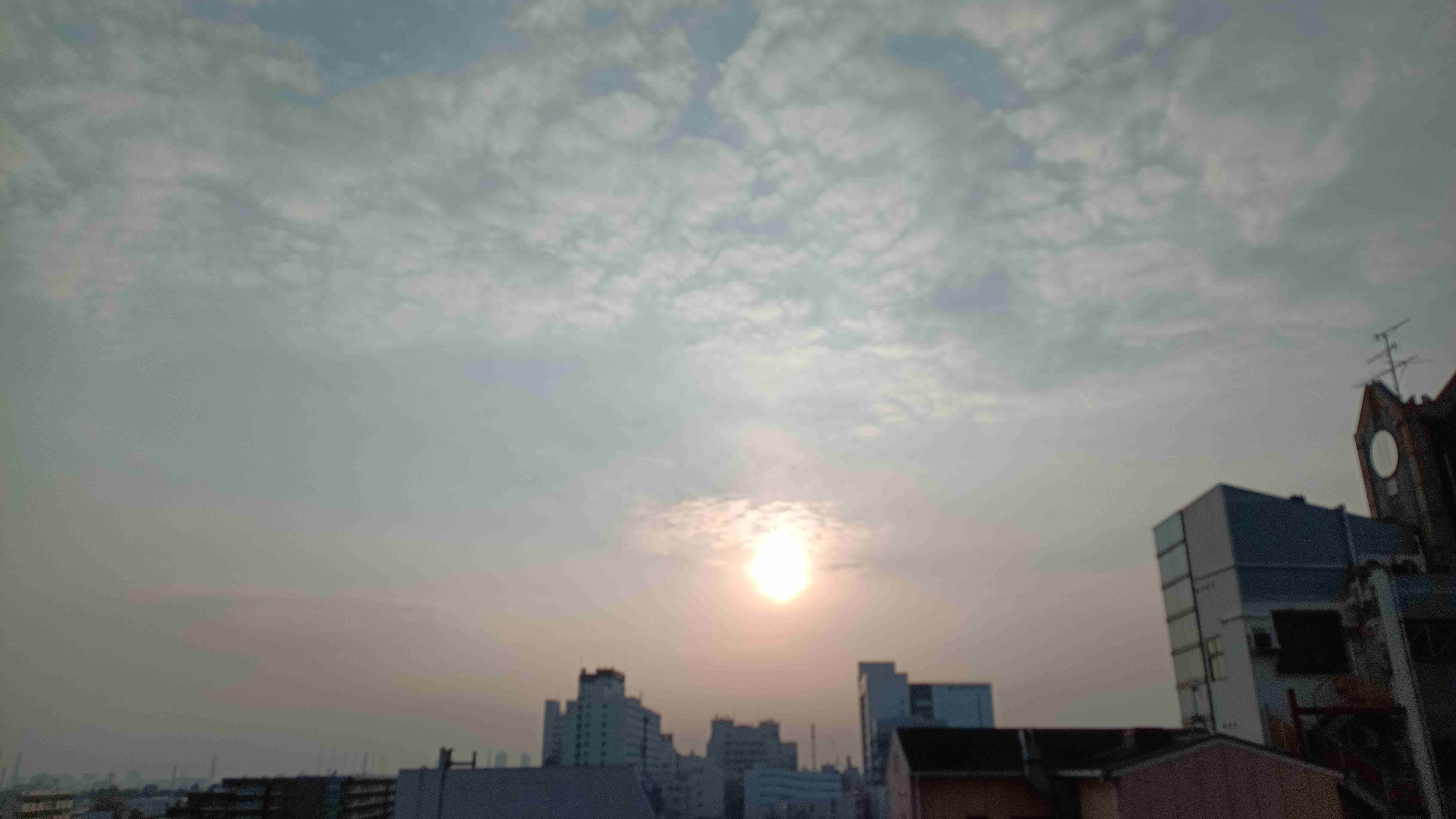 IMG_20240304_071936_709.jpg
