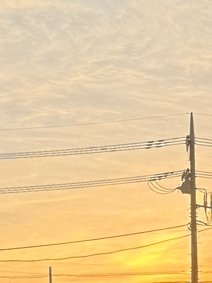 tempImageosxUDB.gif