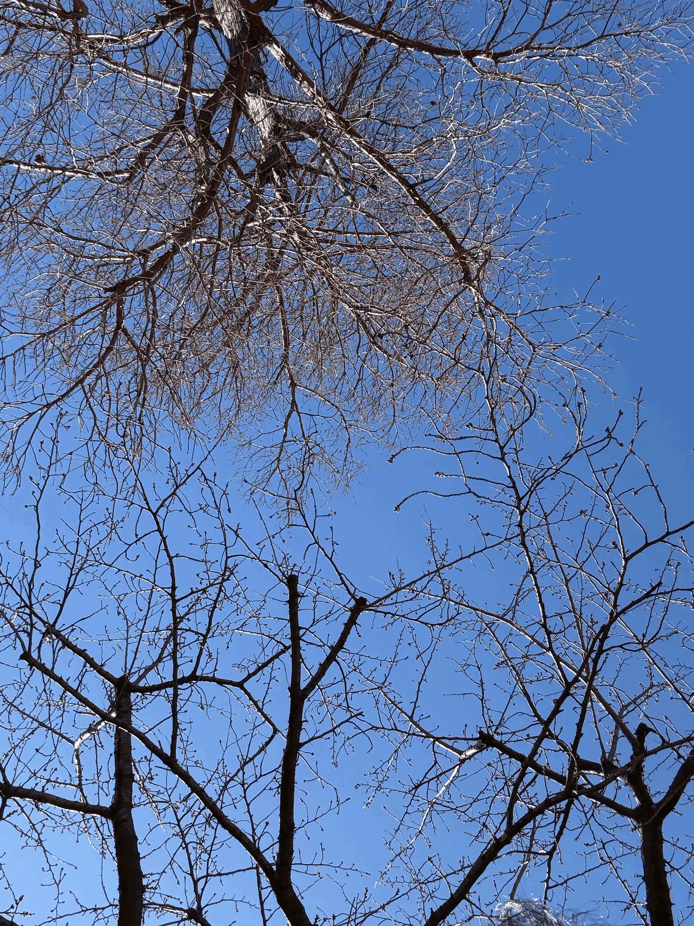 tempImage8tSYt9.gif