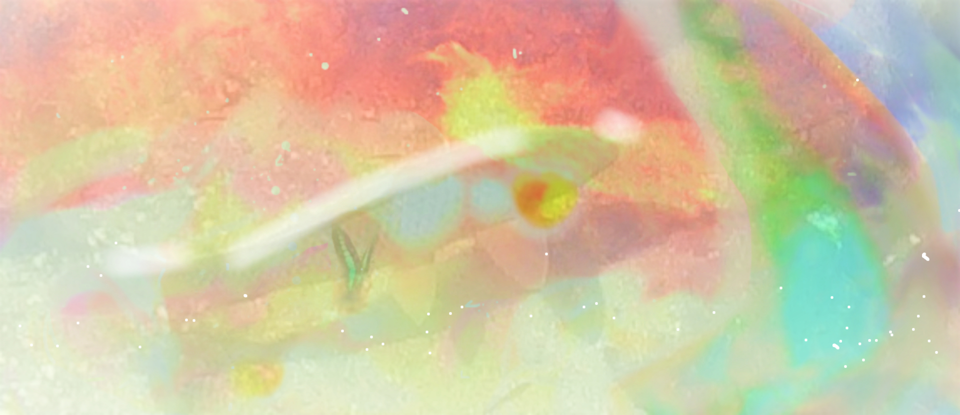 sketch-1683008748580 (2).png