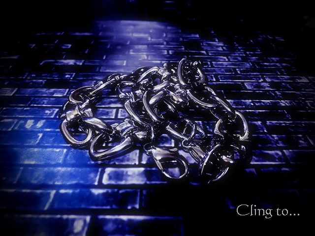 Cling to…・ジャケット.JPG