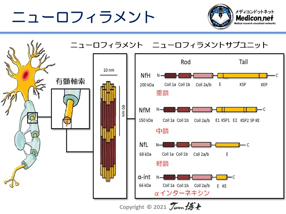 スライド1.JPG